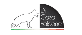Casa falcone - Wählen Sie dem Favoriten