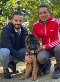 Pastore tedesco Pet-therapy