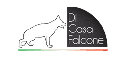 Consegna a Domicilio Consegna a Domicilio