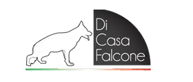 Cuccioli Pastore Tedesco Casa Falcone