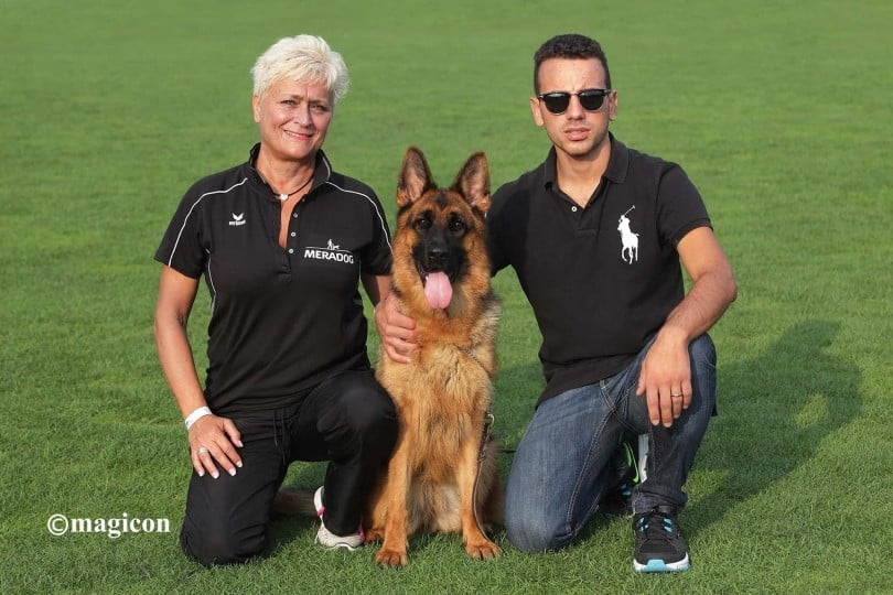 Pastore Tedesco di Casa Falcone