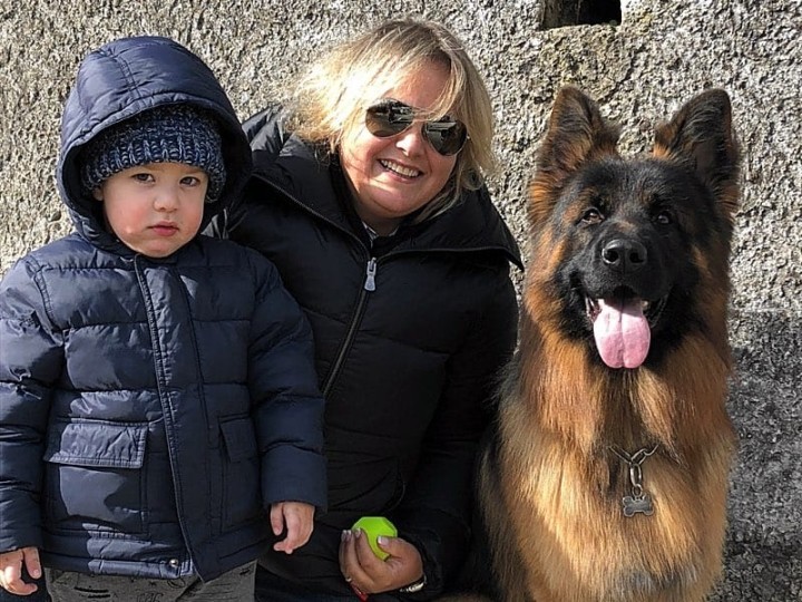 Pastore tedesco: attitudini e vita in famiglia