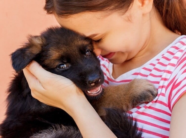 Cucciolo di pastore tedesco: la guida completa
