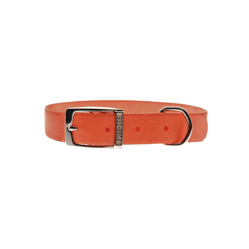 Collare Nylon Special