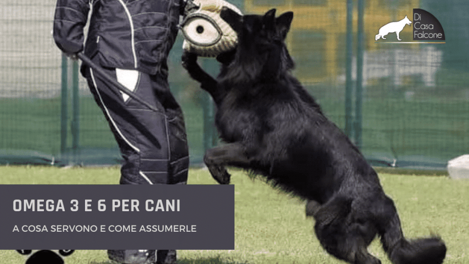 omega 3 E 6 per cani