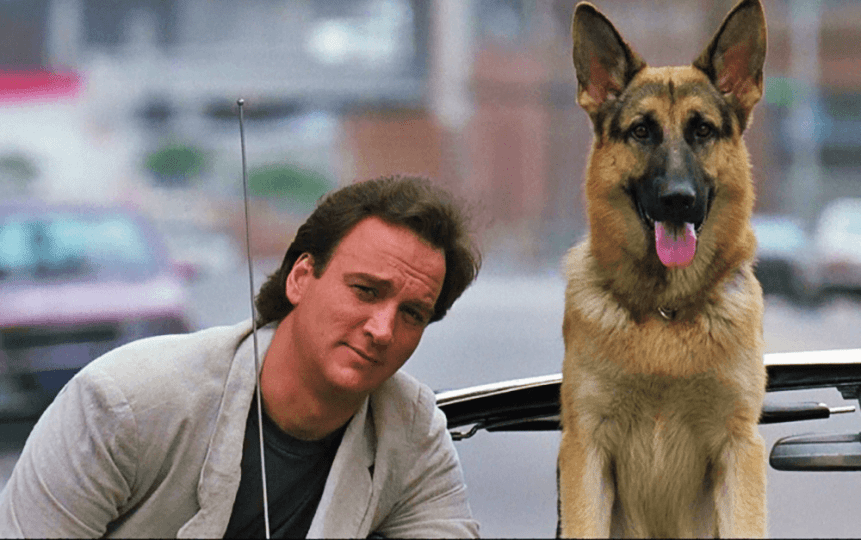 Pastore tedesco e cinematografia - Jerry Lee