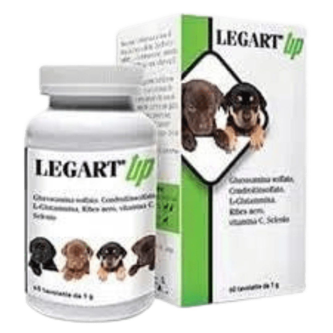 puppy kit - legart up