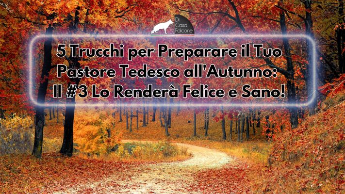 5 Trucchi per Preparare il Tuo Pastore Tedesco all'Autunno: Il #3 Lo Renderà Felice e Sano!