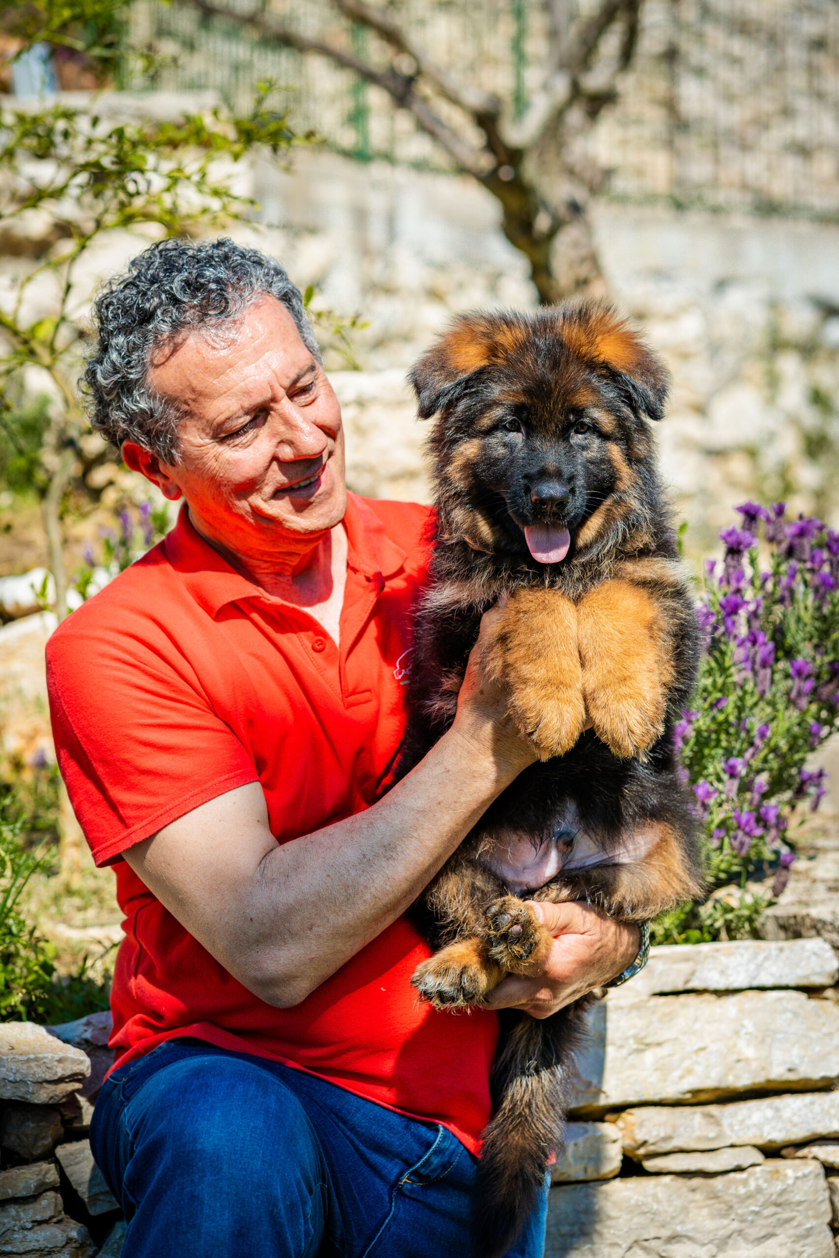 Allevamento Di Casa Falcone